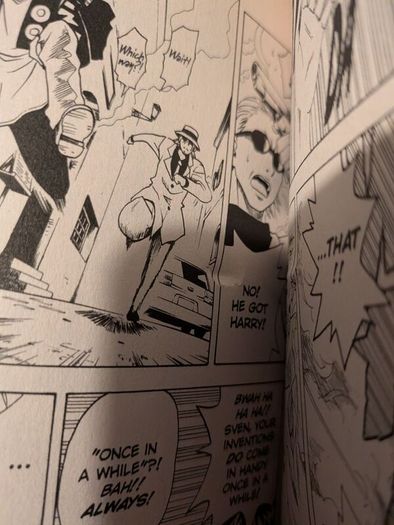 Black Cat manga 1-20