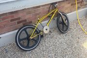 bmx kids