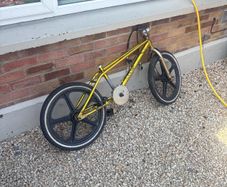 bmx kids