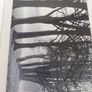 Photography. Image 4
