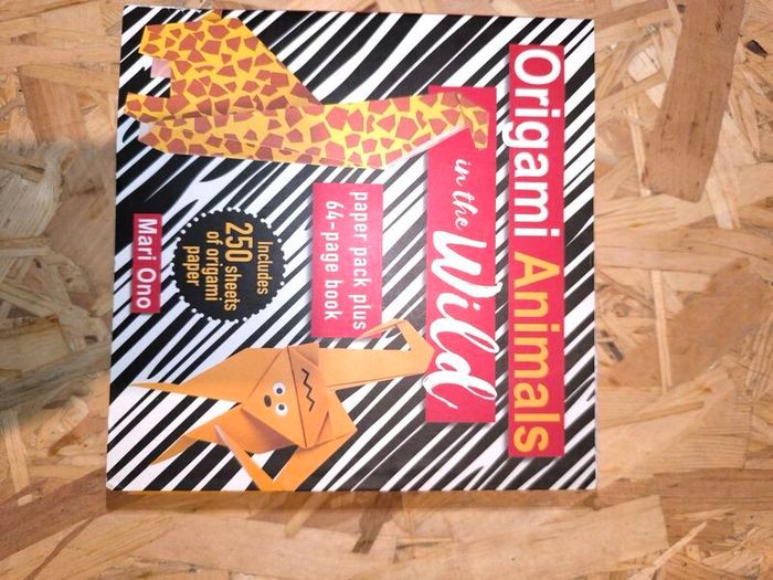Oragami book