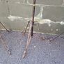 wrought iron Image 5