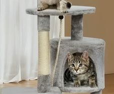 Cat Climbing Tree Tower