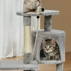 Cat Climbing Tree Tower