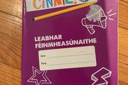 Junior cert Irish