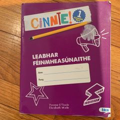 Junior cert Irish