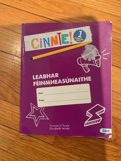 Junior cert Irish