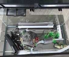Fish tank 54 litres