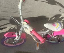 Apollo 14inch unicorn bike