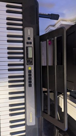 Casio Electric keyboard and stand