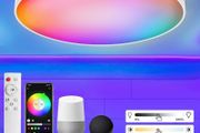 Ceiling Light with Remote Control, 30W Flush Led RGB Colour Changing Ceiling Light Compatible with Alexa and Google Home, Smart Round Ceiling Lighting for Kids Bedroom Hallway