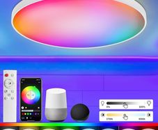 Ceiling Light with Remote Control, 30W Flush Led RGB Colour Changing Ceiling Light Compatible with Alexa and Google Home, Smart Round Ceiling Lighting for Kids Bedroom Hallway