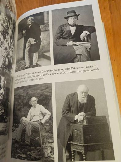 Victoria  A Life.  By A.n.wilson. First Edition Hardback With Dustjacket In Good Condition. See Photos For Same.