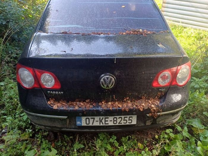 passat for breaking