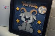 Aries frame