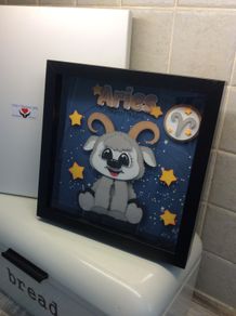 Aries frame