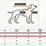 Dog Dress Image 4