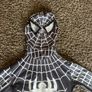 Spider Man Costumes Image 4