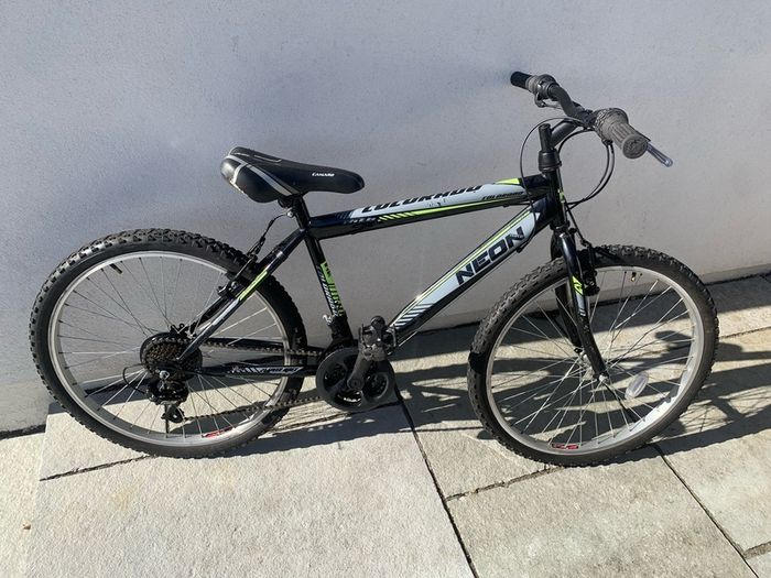 boys 24inch bike