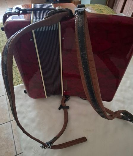 Parrott Piano Accordian