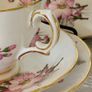 1960s Royal Tara Galway Fine Bone China Tea Set Wild Rose & Fern Image 3