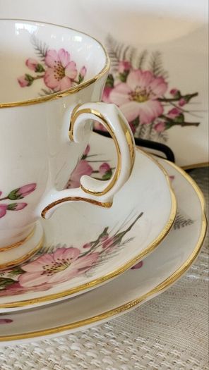 1960s Royal Tara Galway Fine Bone China Tea Set Wild Rose & Fern