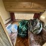 5 berth lunar caravan Image 8