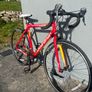 adult bicycle Image 2