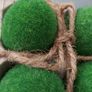 Beautiful Home Decor (eggs)- New! Image 6