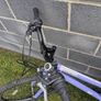 lady's bike / teenager bike Image 3