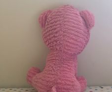 teddy