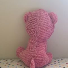 teddy