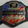 Selection of kids wrestling belts Image 3