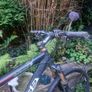 Mens Bike Image 4