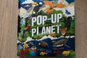 Pop up book