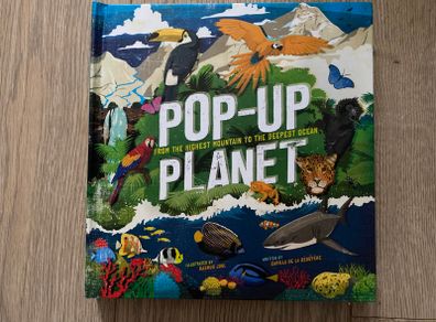 Pop up book