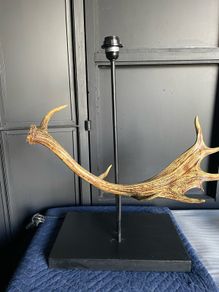 Resin antler lamp