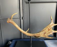 Resin antler lamp