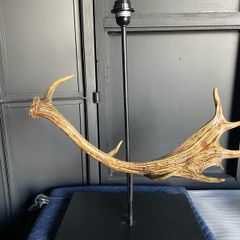 Resin antler lamp