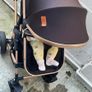 Elegant baby stroller 3 in1 Image 5