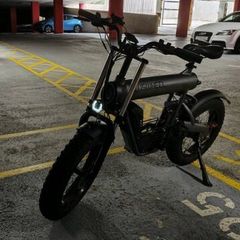 Electric bike