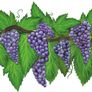 Artisan Handpainted Grapevine Art Transfer/Decal/Sticker Image 2