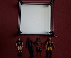 WWE Figures & Ring Bundle