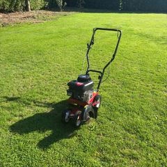 mtd lawn edger