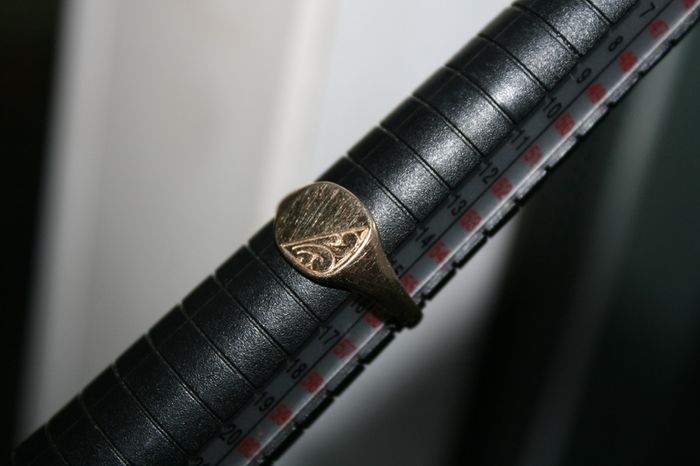 9ct Oval Signet Ring Yellow Gold Mens Ring 375 - 1,6g