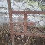 old forge gate Image 4