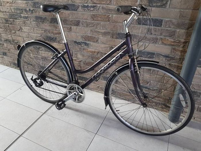 ladies bike( can deliver)