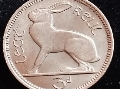 Ireland - 1966 - 3 Pence - Hare - UNC - KM.12a - [2233]