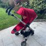 Quincy buggy Image 9