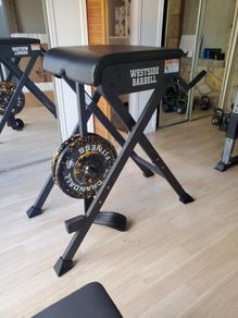 Rogue Westside Barbell Scout (Fold up) Reverse Hyperextension